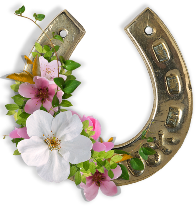 0 Bb281 B66557f Xl - Good Luck Decorative Horseshoe (800x846)