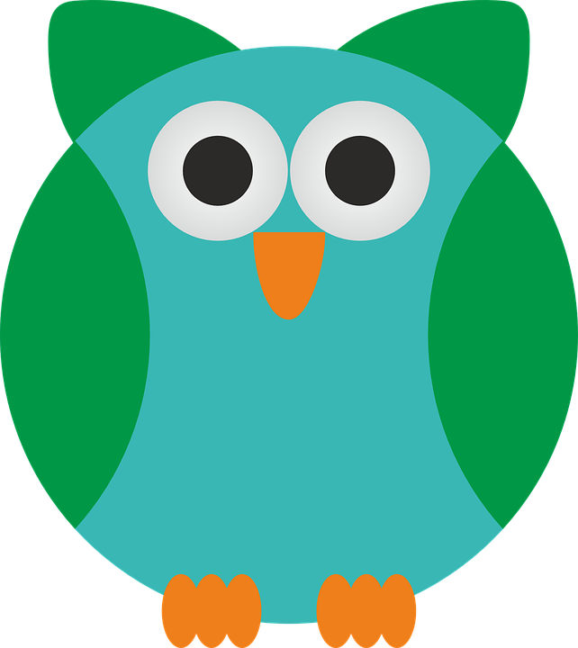 Cartoon Pictures Of Owls 28, Buy Clip Art - Animales Con Plumas Para Dibujar (642x720)