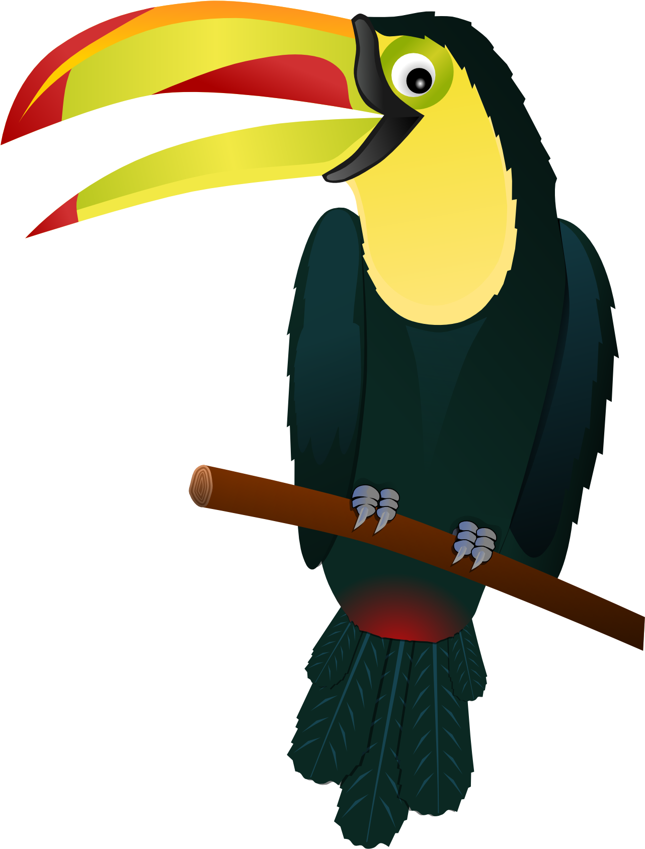 Clip Arts Related To - Toucan Clip Art (1331x1775)