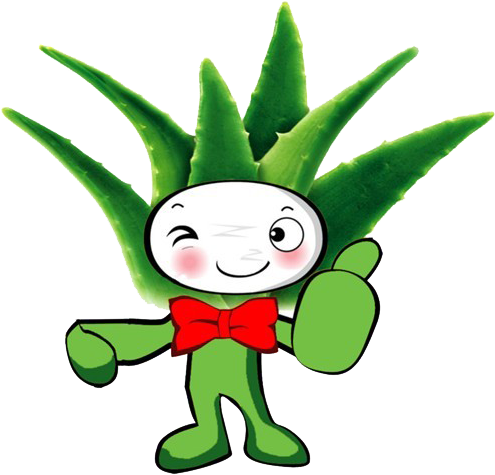 Aloe Vera Aloe Arborescens Burn Skin - Aloe Vera (516x490)
