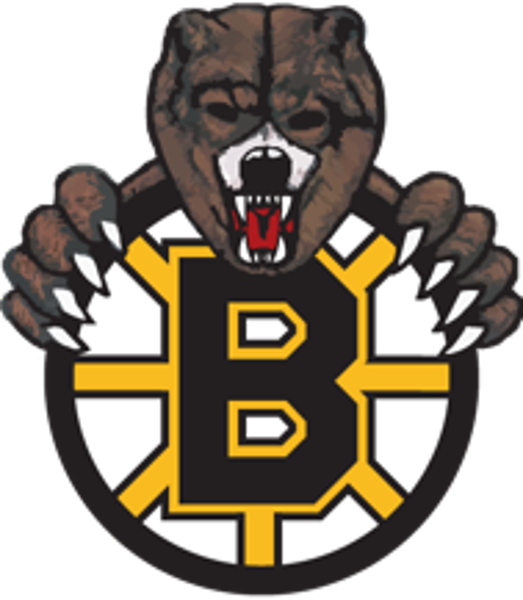 Boston Bruins (523x600)