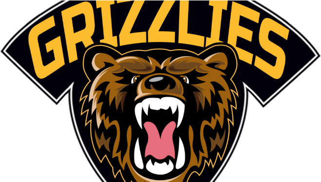 Bruins Purchase Na3hl Franchise In Rochester - Austin Bruins (672x372)