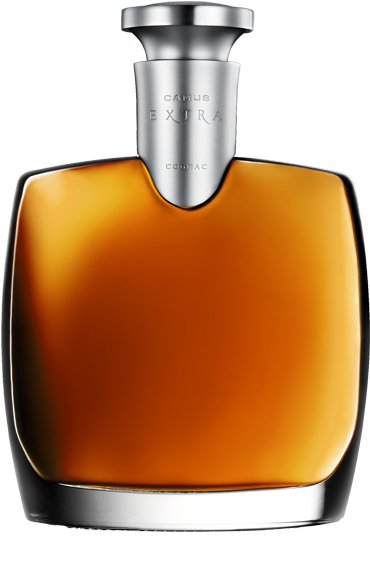 Rm1 - Camus Extra Elegance Review (400x840)