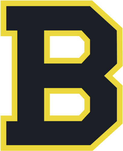 Boston Bruins (800x600)