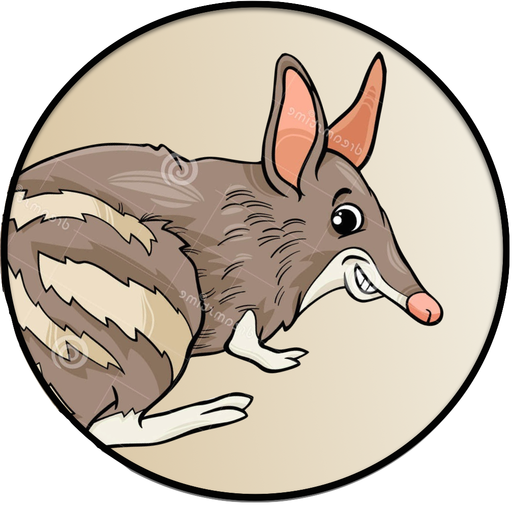 This Is Bracey's Time To Shine In The Gold Coast Commonwealth - Cartoon (1009x993)