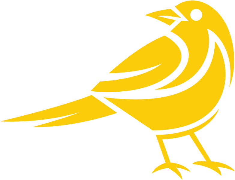 Species Of Birds Registered - Art (800x800)