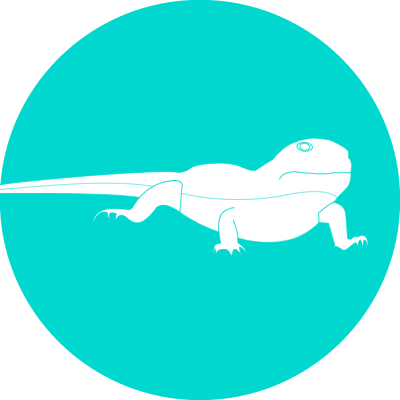 Telfairs Skink - Gecko (400x400)