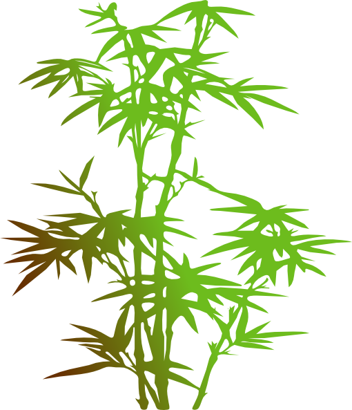 Bamboo Svg Clip Arts 510 X 593 Px - Bamboo Clip Art Png (510x593)