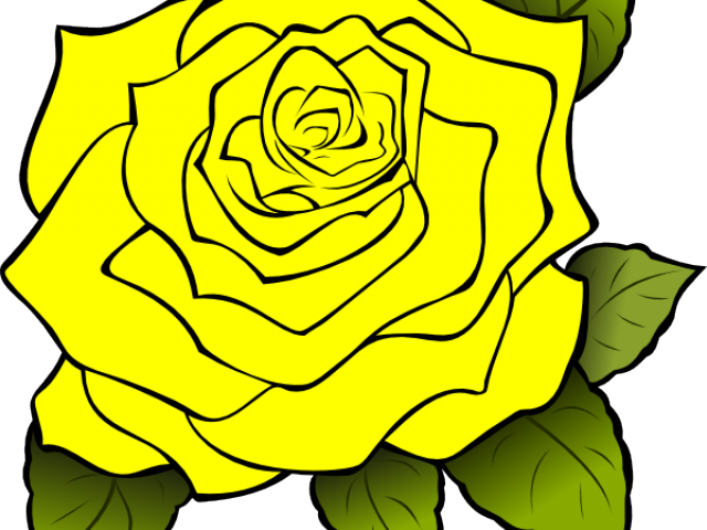 Yellow Rose Clipart Svg - Transparent Background Rose Outline (640x480)
