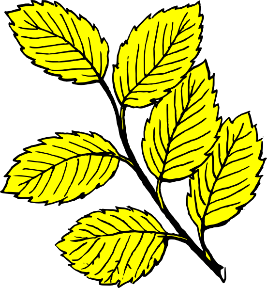 Yellow Leaves Clip Art - Leaf Black And White (552x594)