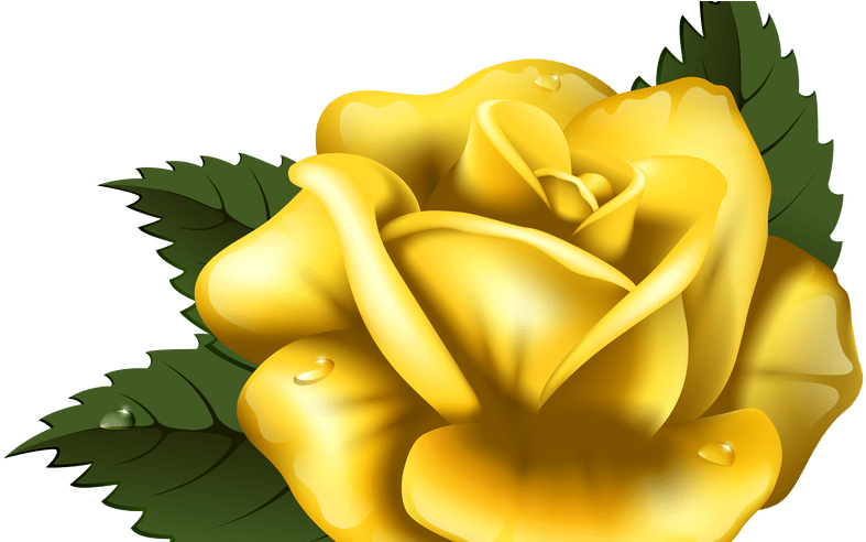 Yellow Rose Clipart Yellow Roses Clipart 9 Clip Art - Perfect Rose Cross Stitch Pattern (800x491)