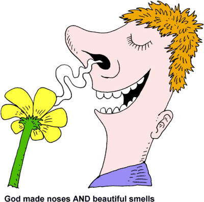 Small Clipart For Bereavement - Smell With Nose Clipart (400x395)