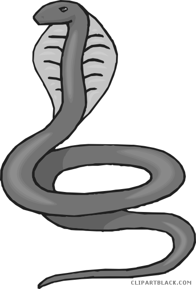 Cobra Animal Free Black White Clipart Images Clipartblack - Cobra Clipart (402x593)