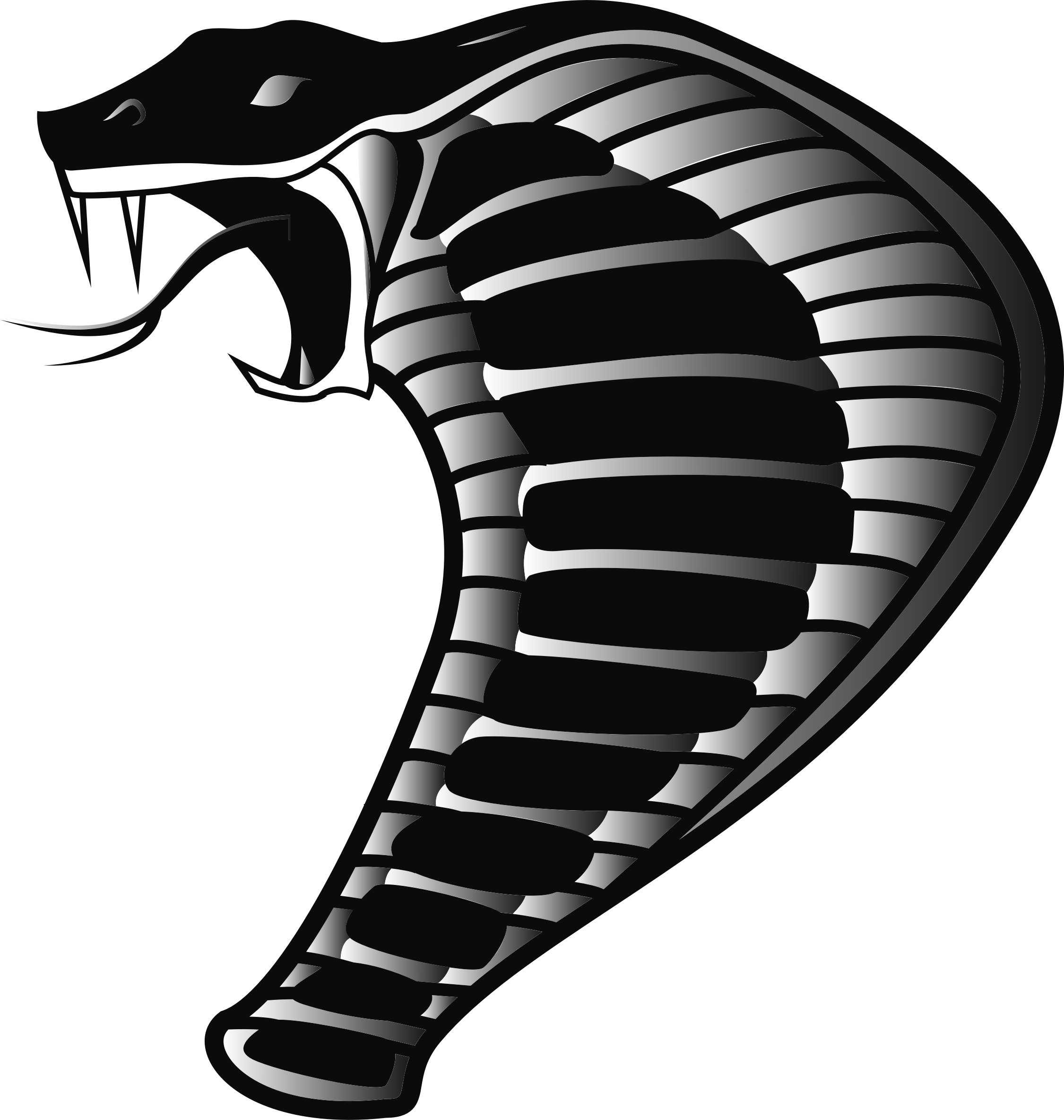 Big Image - Cobra Png (2251x2368)