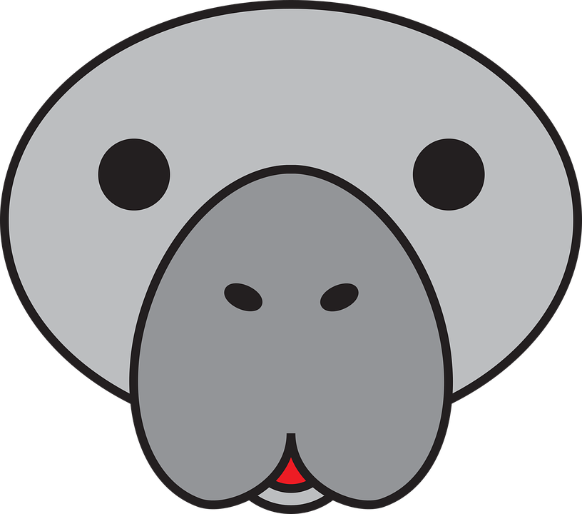 Manatee Clipart Transparent - Desenho De Peixe Boi (816x720)