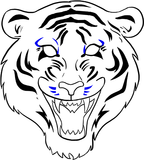 Drawn White Tiger Mouth Open Drawing - Draw A Tiger Face (678x600)