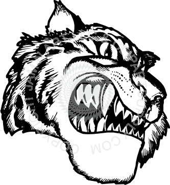 Tiger (333x361)