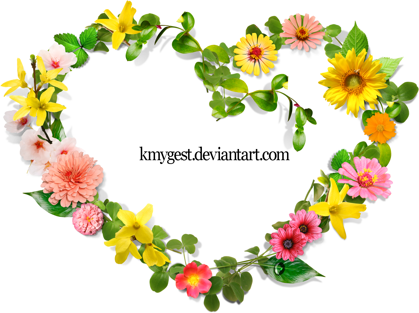 Flowers Heart By Kmygraphic Flowers Heart By Kmygraphic - Floral Heart Border (2000x1422)