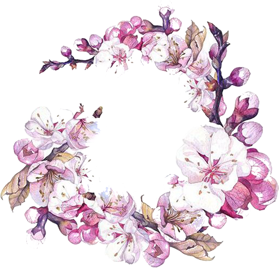 Watercolor Painting Flower Art Cherry Blossom - Sakura Flower Watercolor Png (999x999)