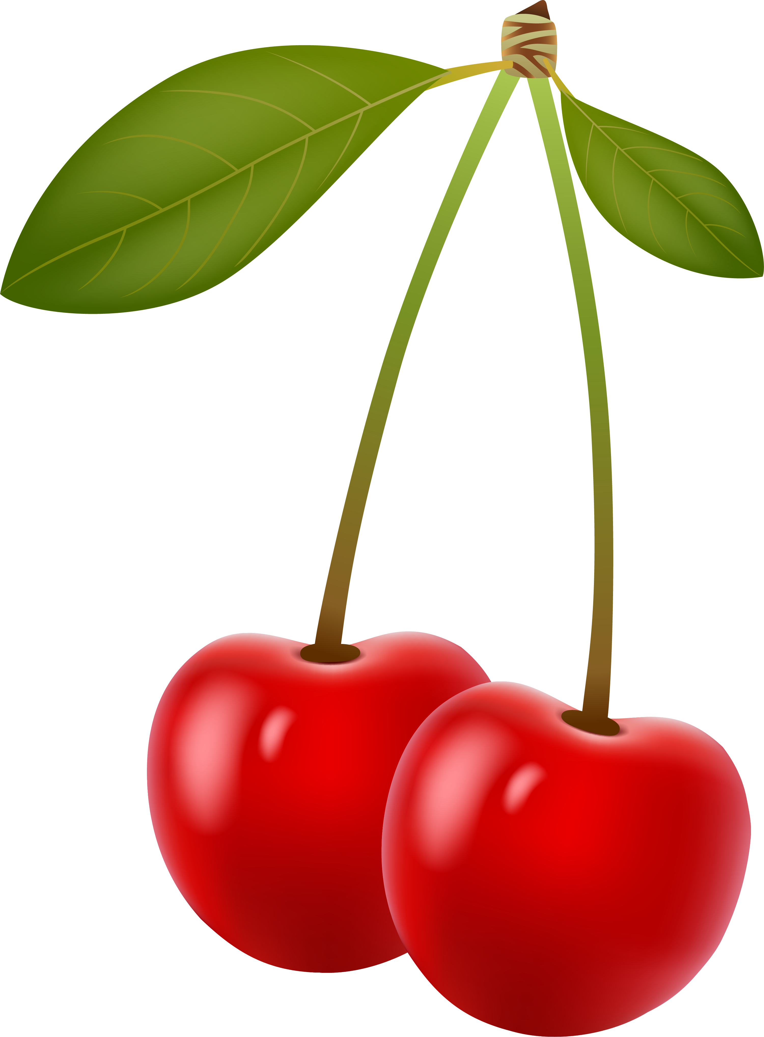 Cherry Berry Clip Art - Fruit (3001x4071)