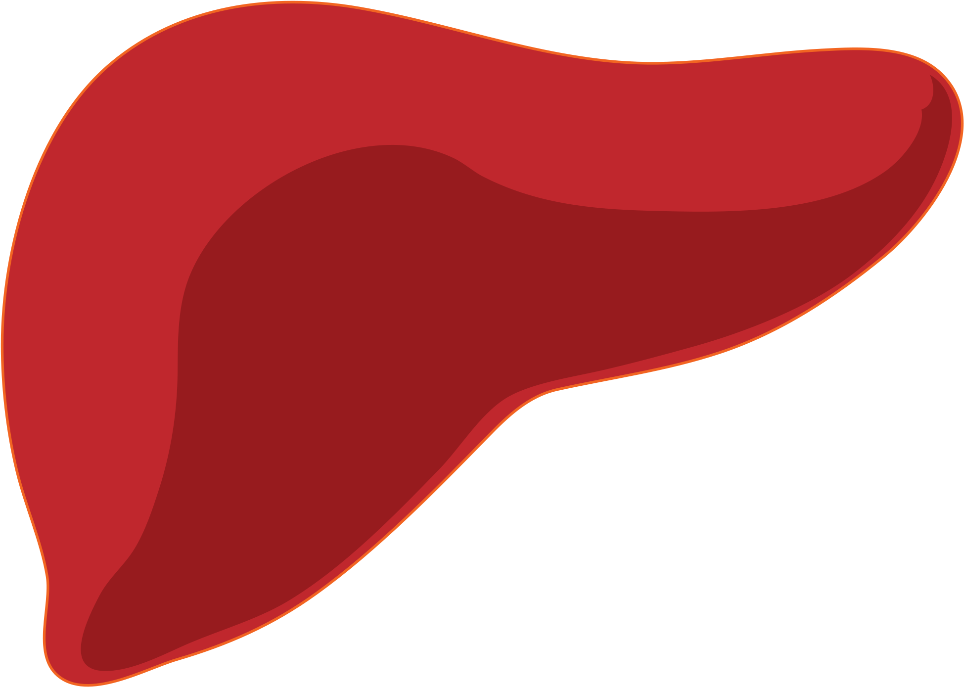 Liver Clipart - Liver Png (2000x1450)