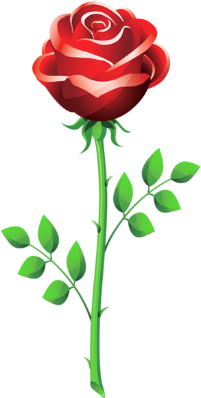 Rose Png Clip Imagem - Rose Flower Vector Png (1060x2076)