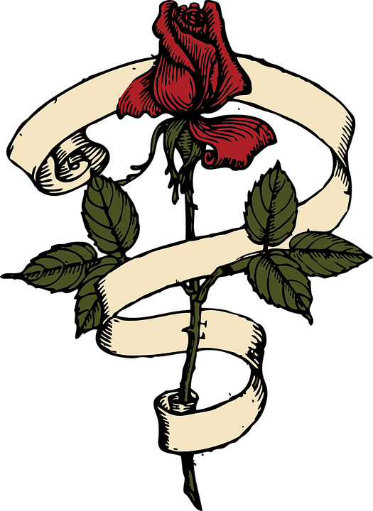 Rosa Com Desenho Vetorial De Rolagem - Rose Scroll (525x720)