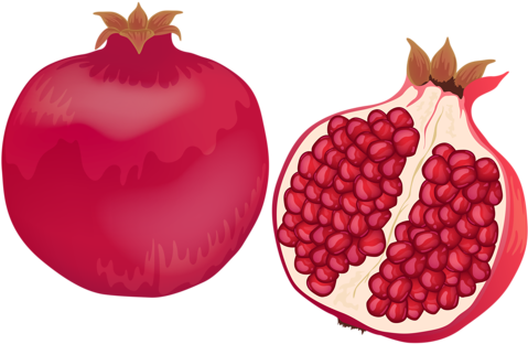 Pomegranate - Vector Graphics (500x329)