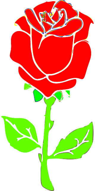 Rose, Flower, Blossom, Plant - Mawar Vector Png (320x640)