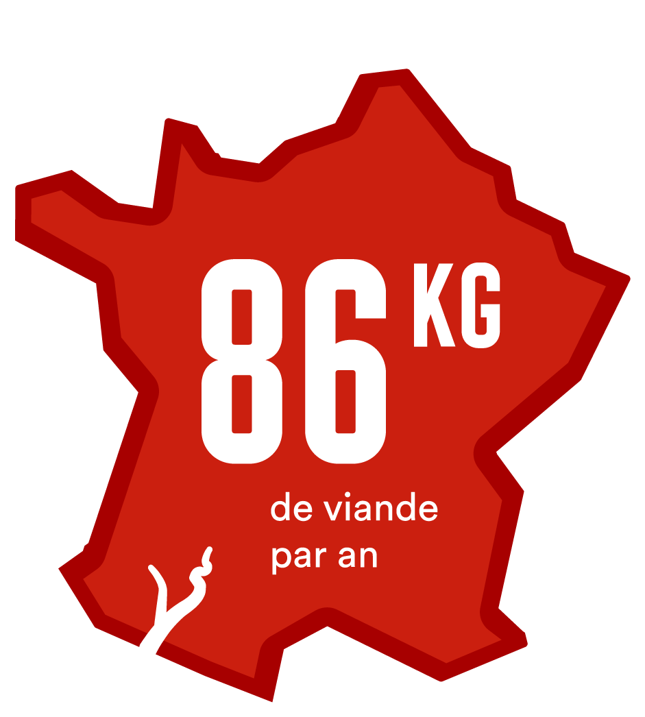 Infographie La Viande Sur Qu'est-ce Qu'on Fait - Illustration (1800x1356)