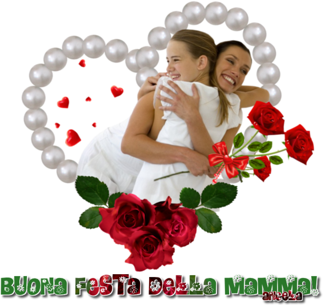 Dxjui6g - Garden Roses (670x630)