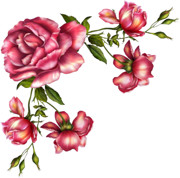 Cantos De Flores Do Vintage Em Png - Victorian Roses Border (600x591)