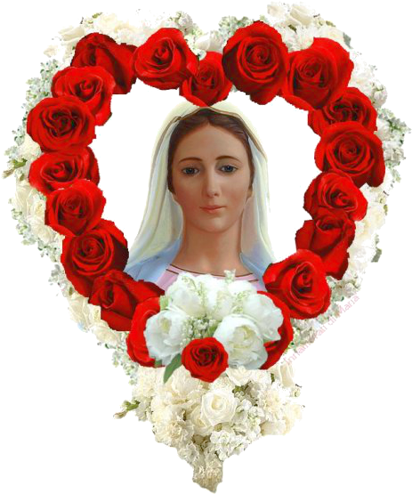 Alcune Notizie In Merito Alla Festa Della Mamma - Garden Roses (492x571)