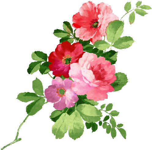 Hola, Maricarme Y A Todas Bueno Aqui Les Voy A Dejar - Watercolor Painting Of Happy Birthdau (500x541)