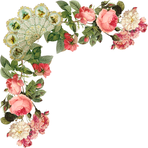 A Feedback Would Be Very Nice - Pierre Joseph Redoute - Damask Rose Giclee On Canvas (480x480)