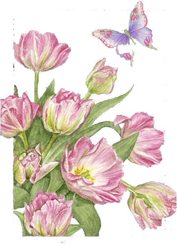 Mi Baul Del Decoupage - Pink Evening Primrose (363x512)