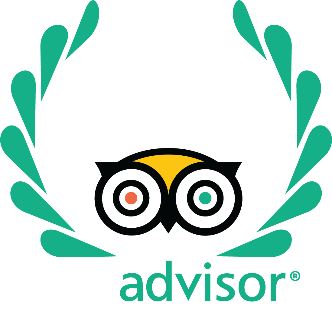 Traveler&#039;s choice. Трипадвизор. трипадвизор логотип. tripadvisor travelers’ choice 2025 логотип. tripadvisor travellers choice 2025.