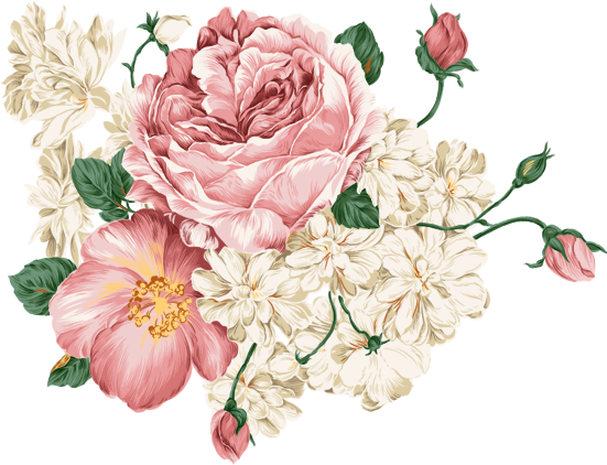 28, January De - Peonies Png Free Download (550x444)