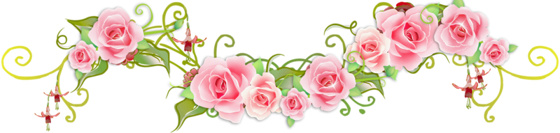 E Que Pode Ir Muito Mais Longe Depois De Pensar Que - Garden Roses (800x191)