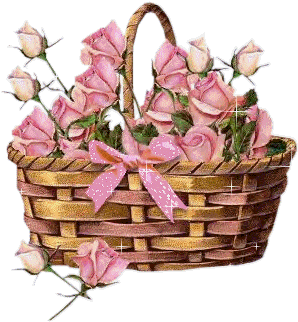 Gif Animate - Storage Basket (350x350)