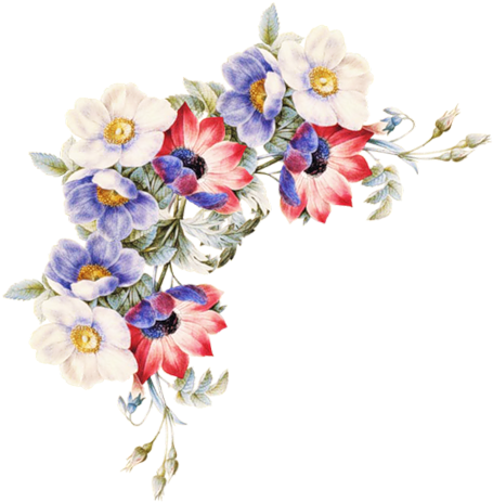 Cantos De Flores Do Vintage Em Png - Women Of Flowers [book] (464x500)
