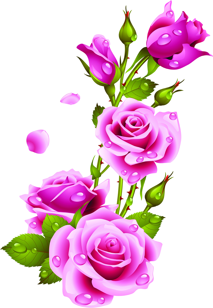 Dibujo De Flores - Rose Frame (830x1200)