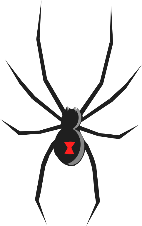 Free Black Widow Spider Clip Art U0026middot Spider6 - Black Widow Spider Oregon (483x767)