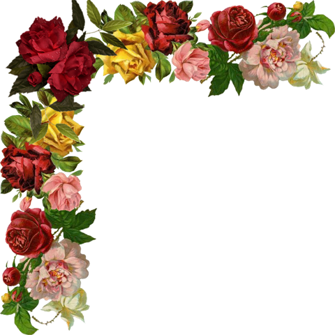 Imagens Para Decoupagem - Rose Flowers Border Corner (480x480)