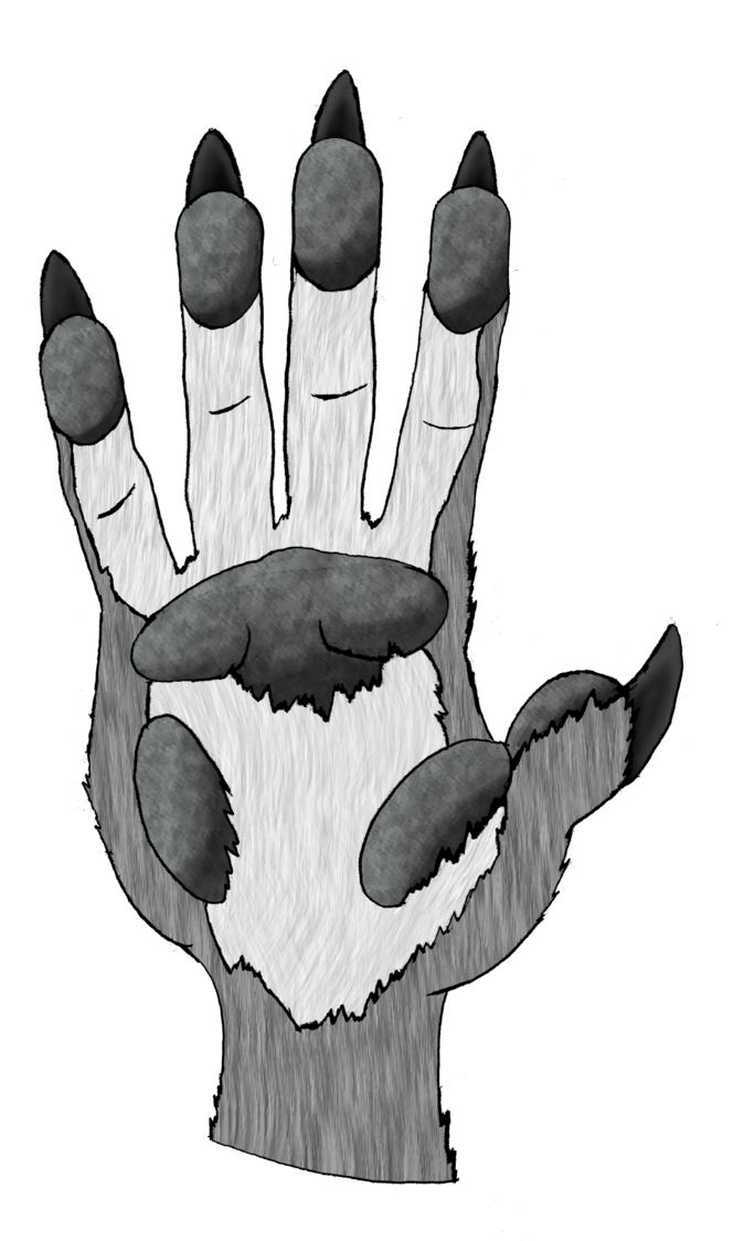 Anthro / Werewolf Hand By Ghostpatrol1 - Illustration (706x1131)