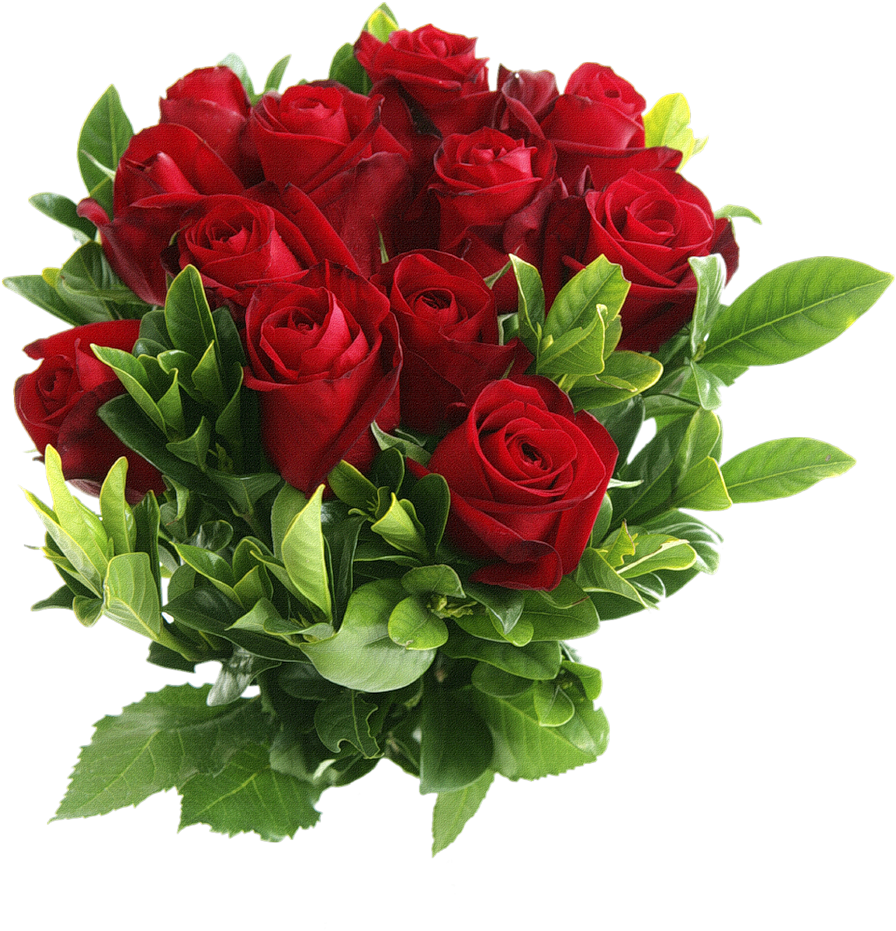 Vintage Rose Clip Art By Fptfy Free Pictures Paper - Red Rose Flowers Png (1018x1024)