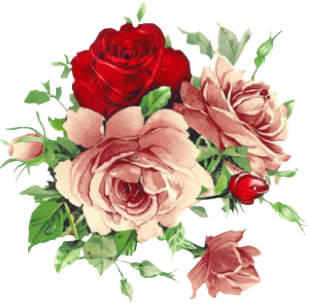 Beautiful Varieties For Home And Garden Flower Clip - Flores Vintage Png (1024x1024)