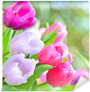 Carta Da Parati Festa Della Mamma, Compleanno, San - Birthday (400x400)