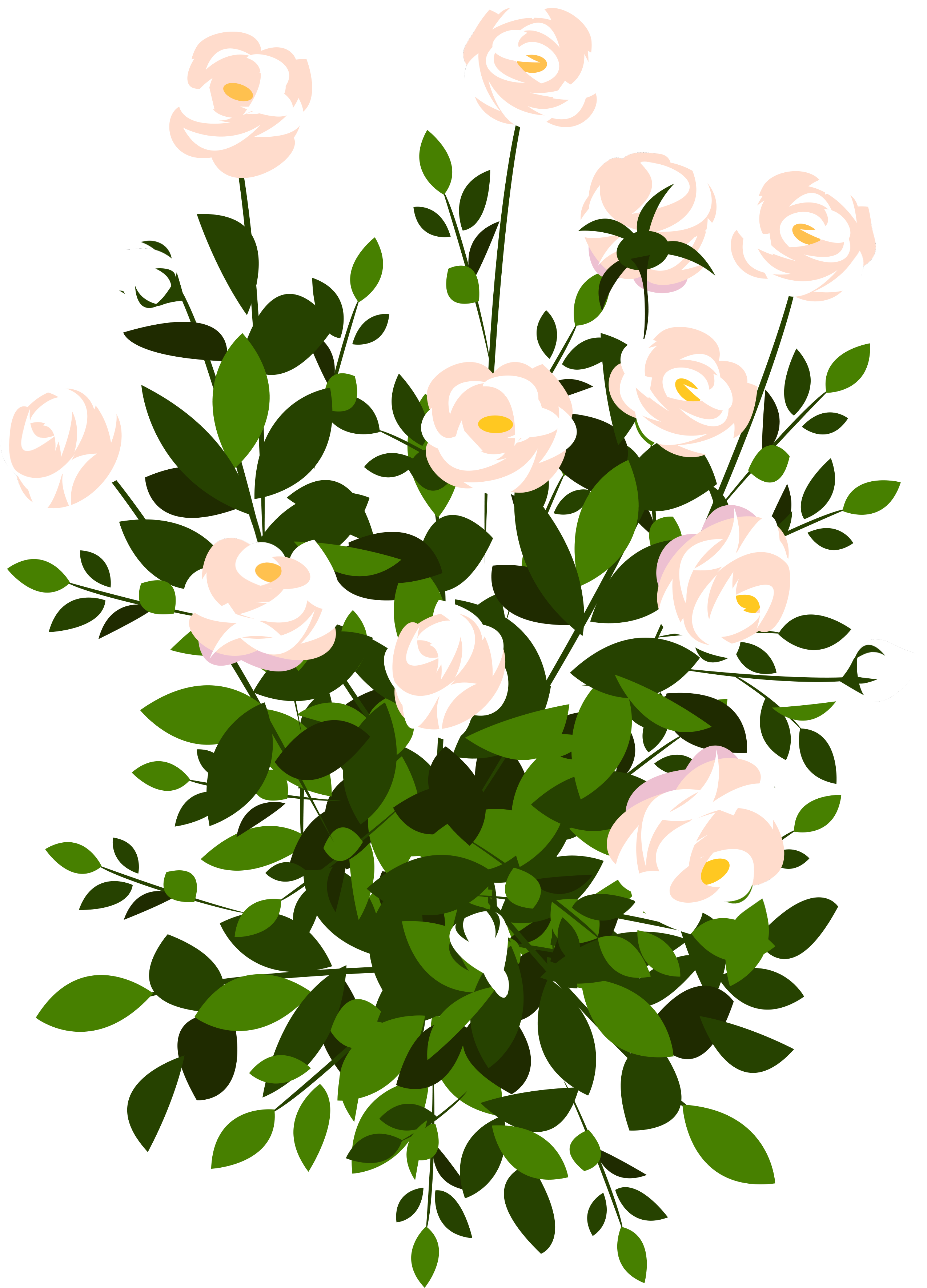Whte Rose Bush Png Clipart Picture - Free Stock Flower Png (3008x3821)