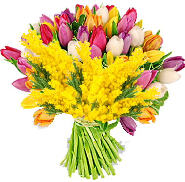 Auguri Donna - Tulip (400x400)